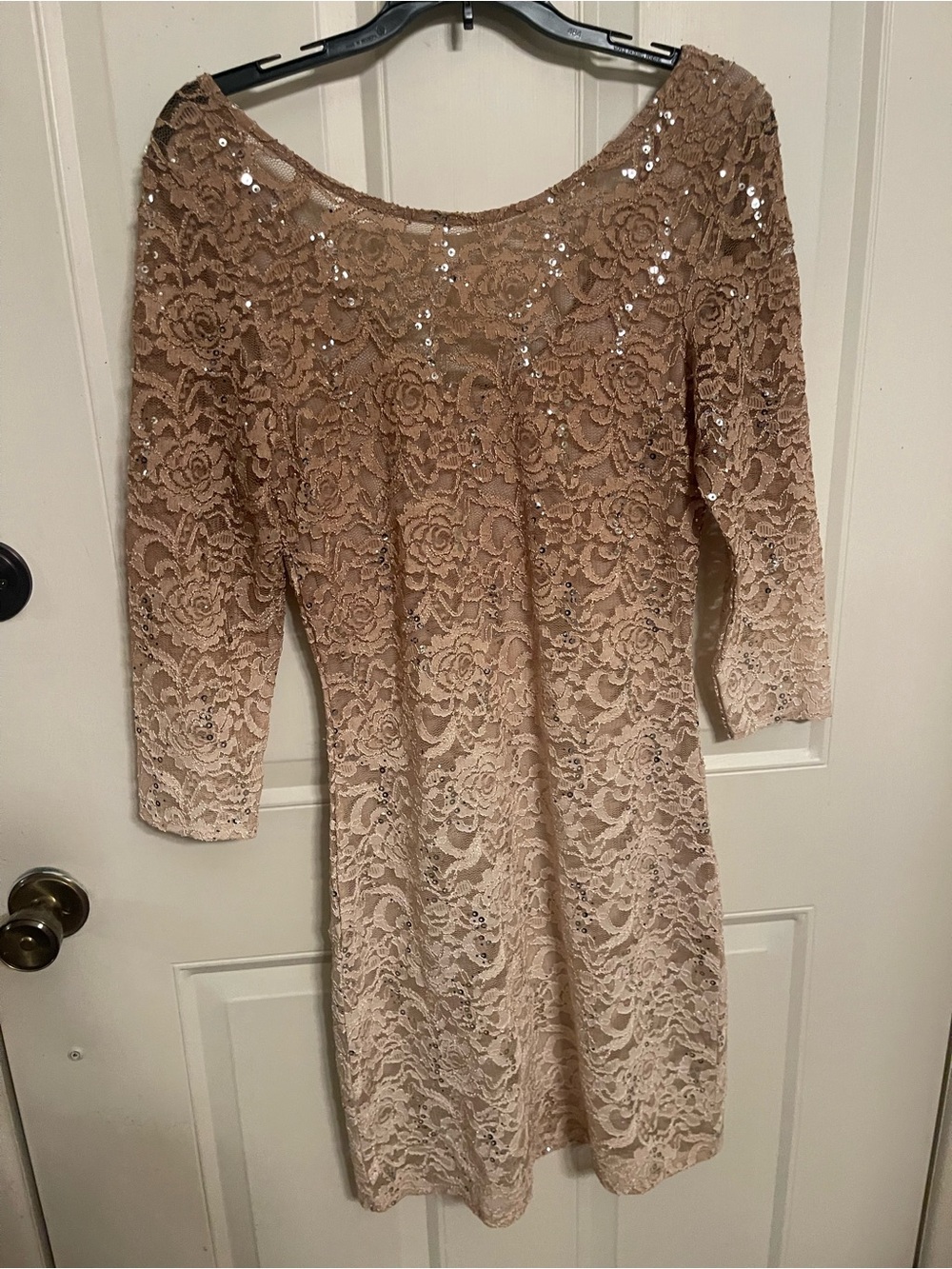 Chelsea & Violet Beige Lace Sequin Long Sleeve Sheath Dress